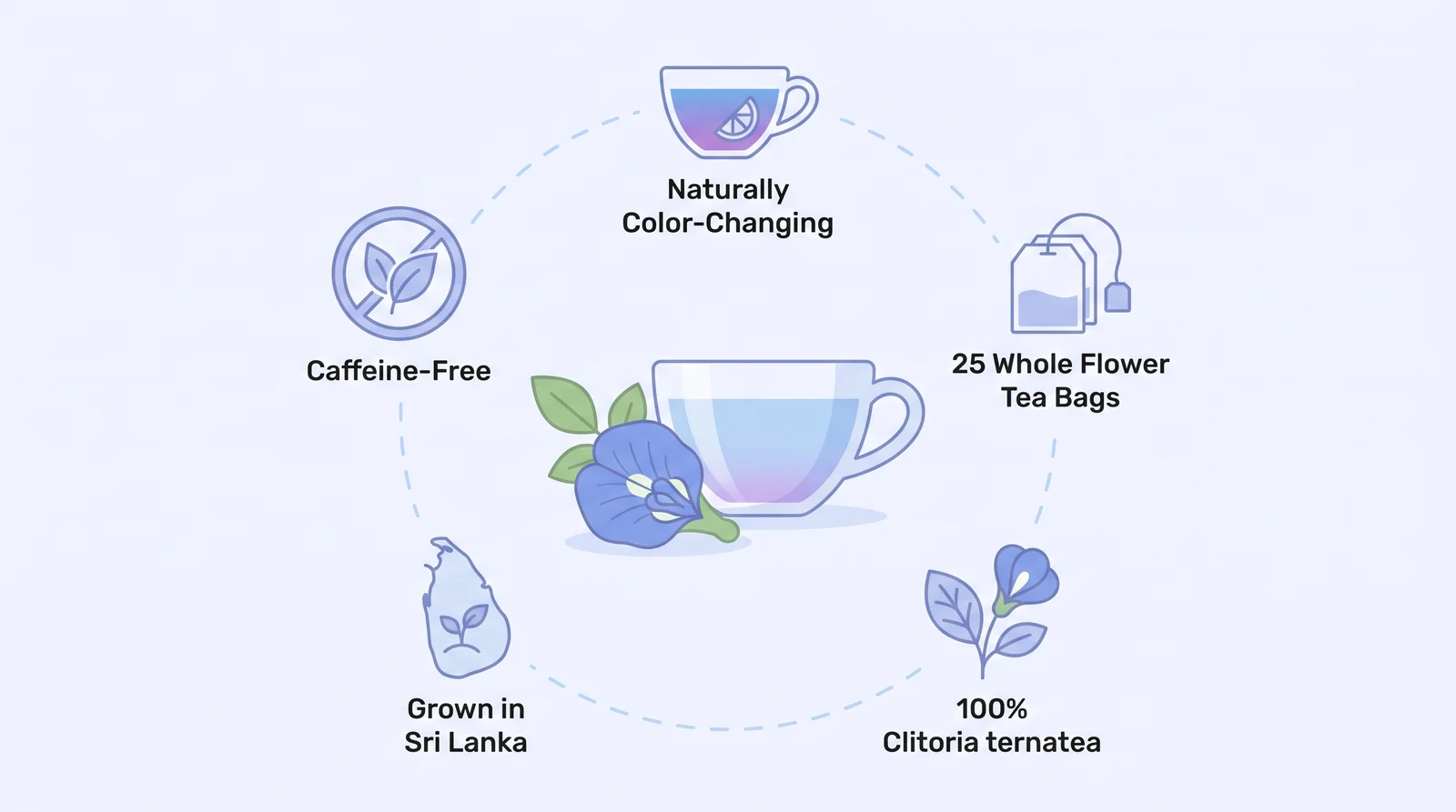 Butterfly Pea Tea key facts infographic, caffeine-free, 25 whole flower tea bags, grown in Sri Lanka
